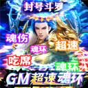 传奇演义正版（GM超速魂环工具）